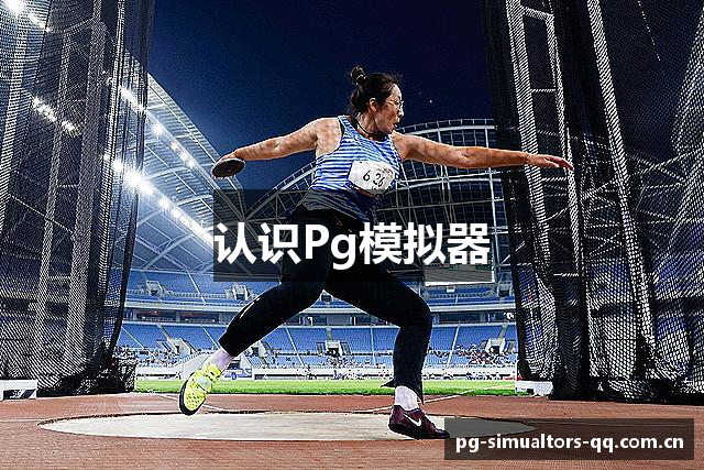 认识Pg模拟器